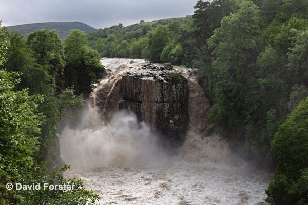 05D-1687 High Force Waterfall on the River Tees After Thunderstorms and Heavy Rain Caused Flash Flooding on 28.06.12