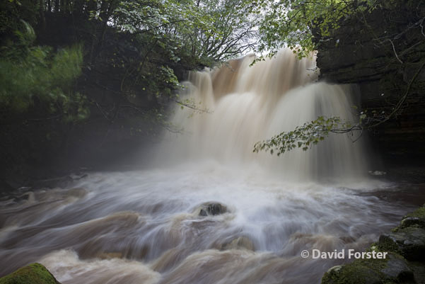 05D-6148 Summerhill Force (Gibson's Cave) in Flood Conditions Caused by Heavy Rain on the 24th and 25th September 2012 Bowlees Upper Teesdale County Durham 