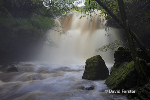 05D-6175 Summerhill Force (Gibson's Cave) in Flood Conditions Caused by Heavy Rain on the 24th and 25th September 2012 Bowlees Upper Teesdale County Durham