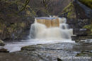 05D-8791 Waterfall on Bowlees Beck Downstream from Gibsons Cave Bowless Upper Teesdale County Durham UK