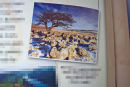 Image Used in the Childrens Book: Navigators Ancient Rome