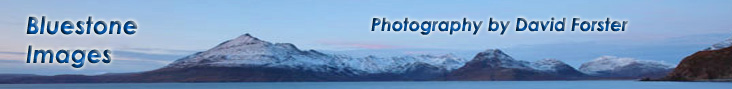 Bluestone Images - Photography by David Forster