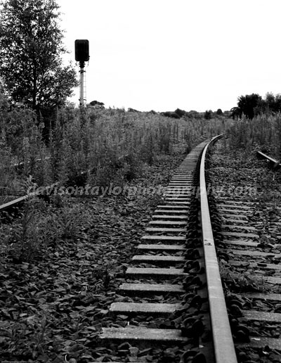 20090704- MG 1301