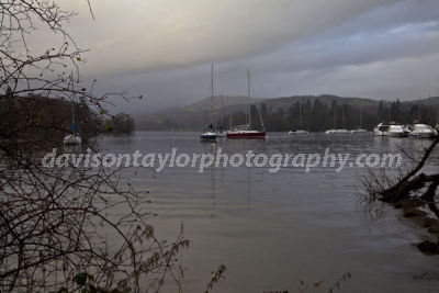 20091114- MG 2542