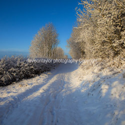 20091220- MG 2962