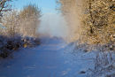 20091220- MG 2973