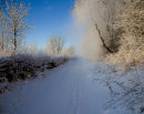 20091220- MG 2975
