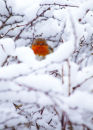 20100101- MG 3357