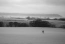 20100103- MG 3392