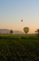 West Bank Balloons