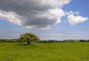 Heavy Cloud