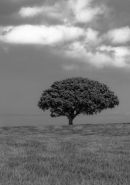 All Alone