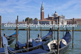 Venice 2011