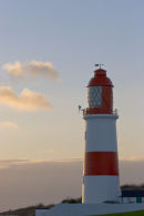 The Coast