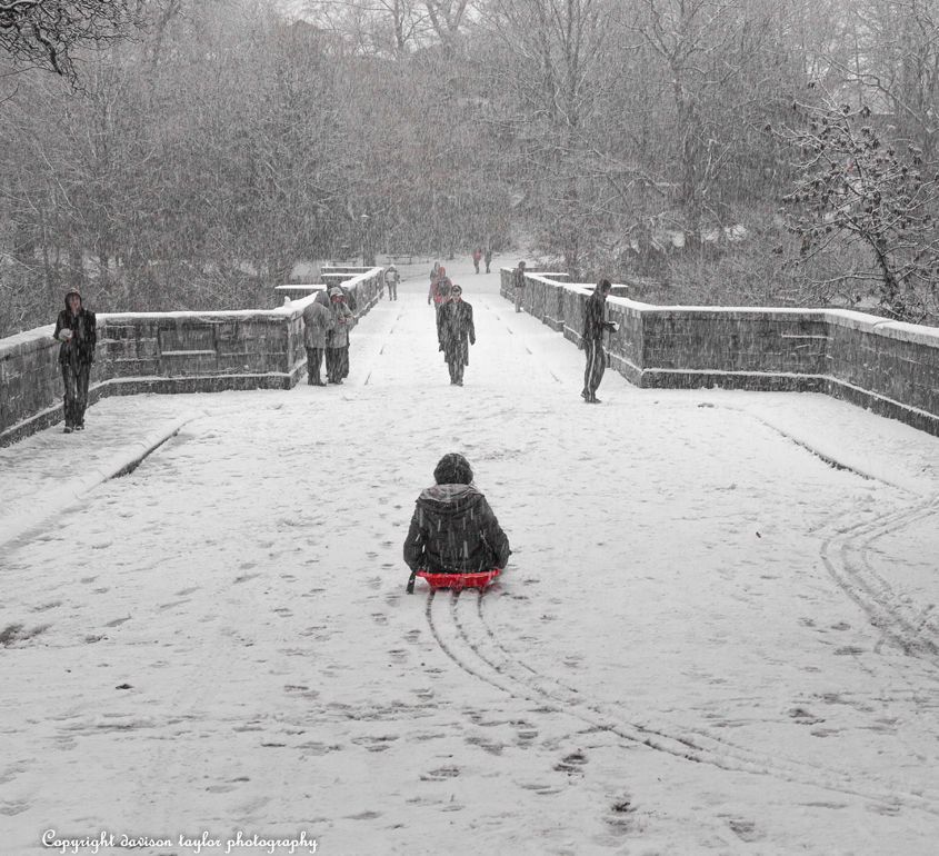 Sledging