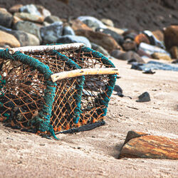  Beached