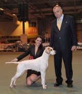 Gundog Group 1