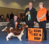 Gundog Group 2 