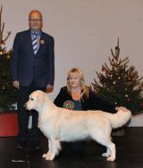 Gundog Group 2