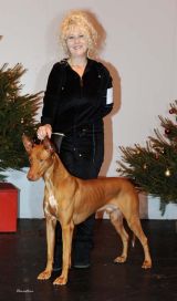 Hound Group 3