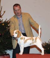 Hound Group 4