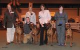 Hound Group KC Breeders