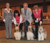 Pastoral Group KC Breeders