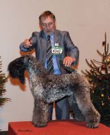 Terrier Group 3