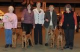 Terrier Group KC Breeders