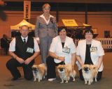 Utility Group KC Breeders