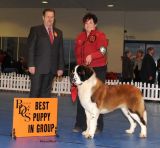 Working Puppy Group 1