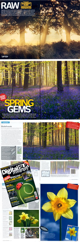 Article text