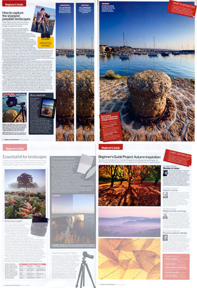 Article text