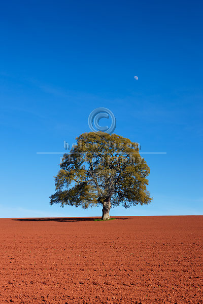 lone tree dating Meet single women in lone tree co online & chat in the forums dhu is a 100% free dating site to find single women in lone tree. lone tree dating Meet single women in lone tree co online & chat in the forums dhu is a 100% free dating site to find single women in lone tree.