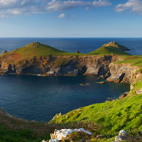 The Rumps