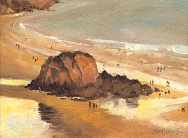 Goscar rock, Tenby north beach
