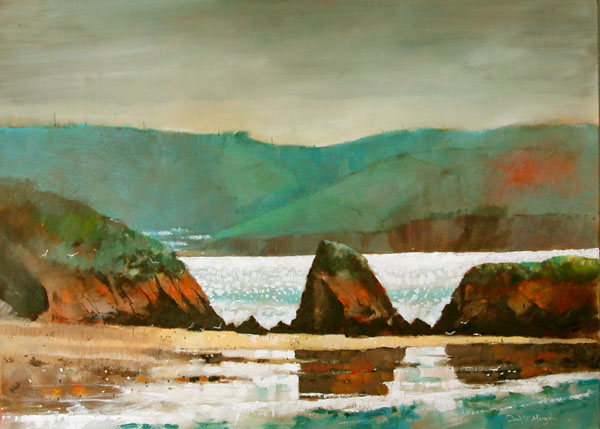 Reflections, Monkstone beach