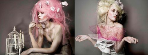 photo: camille samson