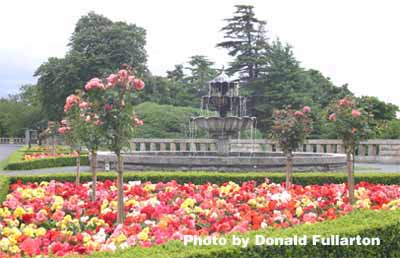 Gleneagles flower bed