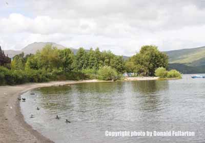 View north east from the Lodge on the Loch