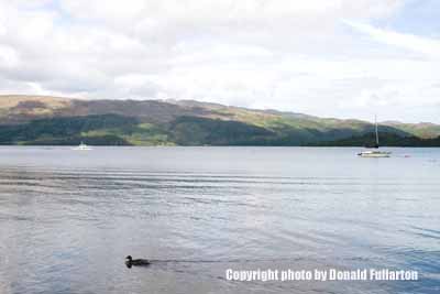 View directly east across from the Lodge on the Loch