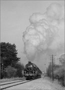 "Snow And Steam"