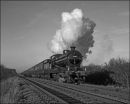 "A Full Head Of Steam"