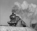 "Steam On The Rise"