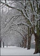 "The Second Fall Of Snow!"