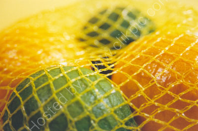 Citrus bag