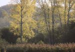 Autumn Test Bank