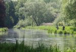 May fishing on Test