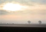 Misty vista