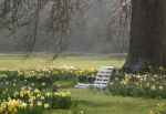 Spring Bench